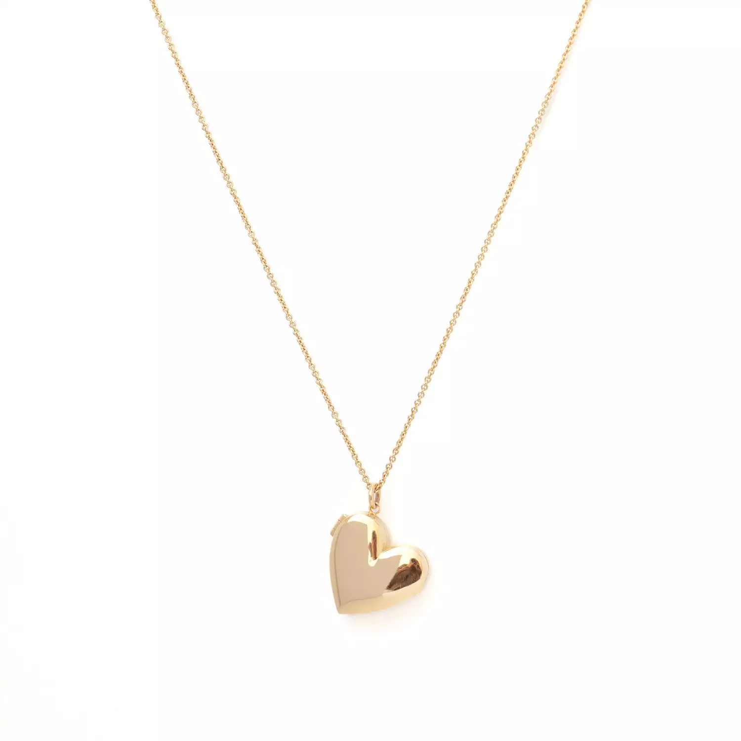 Heart Locket Long Chain Necklace