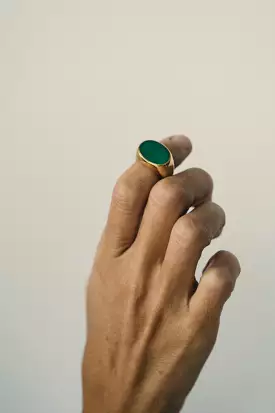 JADE SIGNET RING / Golden ring