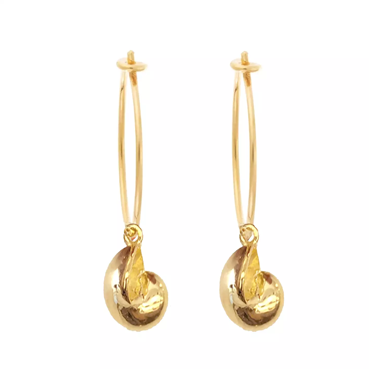 Nautilus Shell Hoops, Gold (pair)