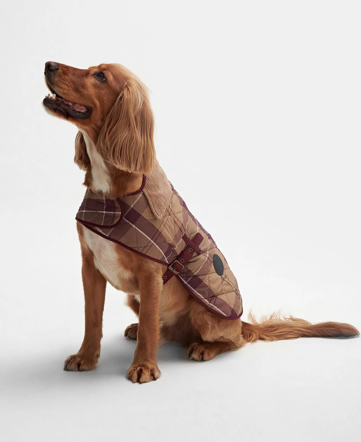  Tartan Quilted Dog Coat     